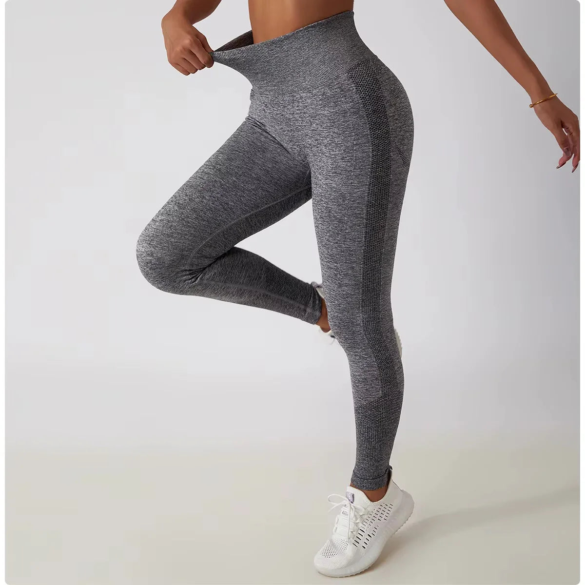 Legging Sculpt Line